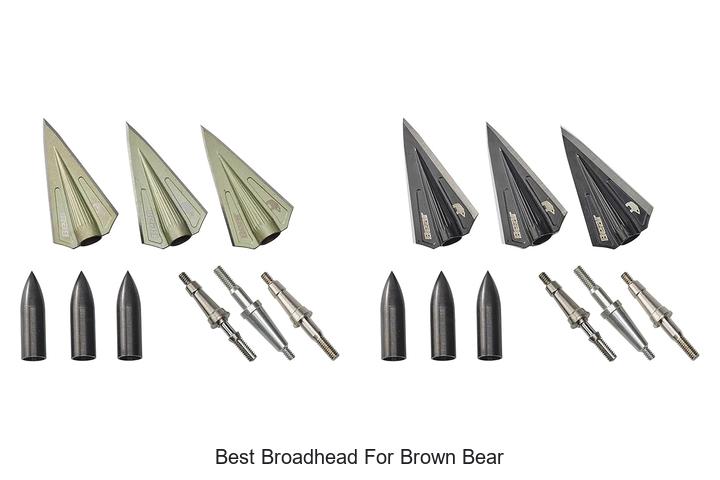 best broadhead for brown bear