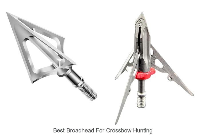 best broadhead for crossbow hunting