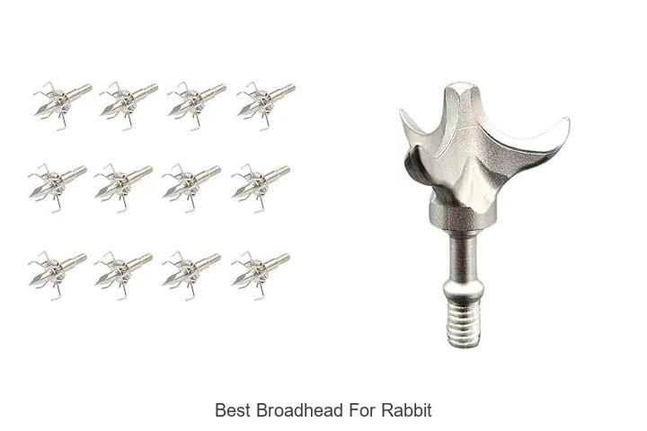 best broadhead for rabbit