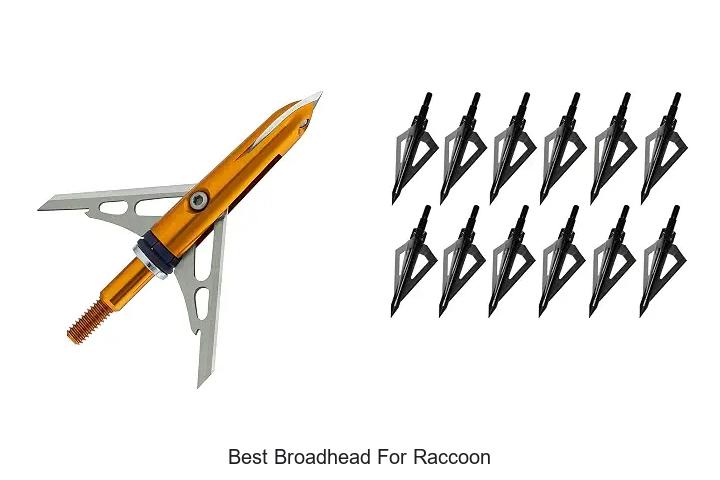 best broadhead for raccoon