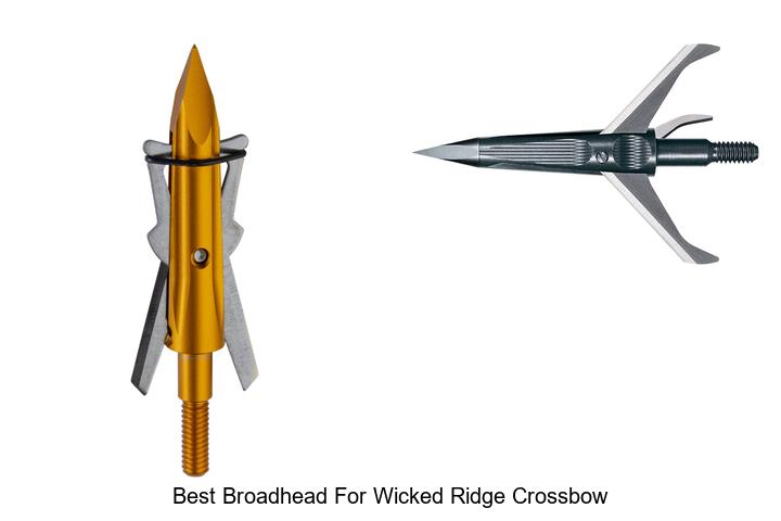 best broadhead for wicked ridge crossbow