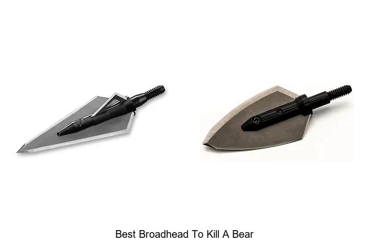 best broadhead to kill a bear