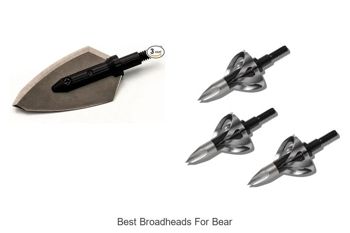 best broadheads for bear