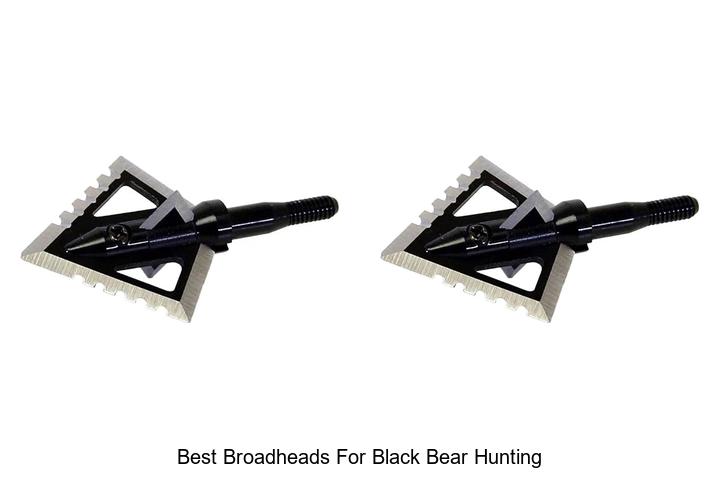 best broadheads for black bear hunting