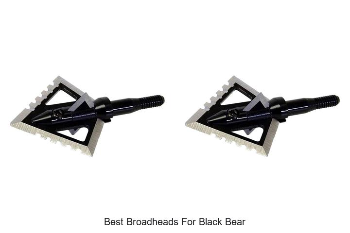 best broadheads for black bear