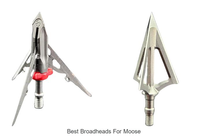 best broadheads for moose