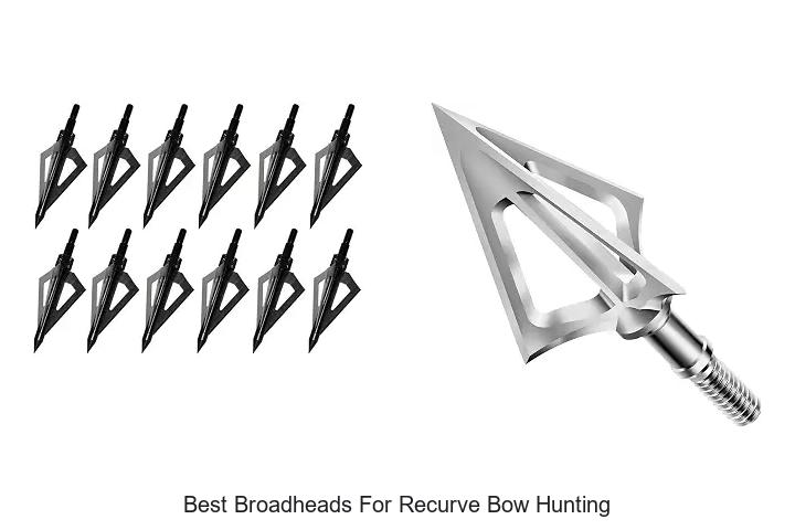 best broadheads for recurve bow hunting