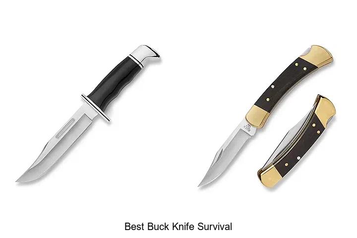 best buck knife survival