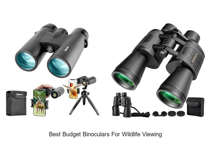 best budget binoculars for wildlife viewing