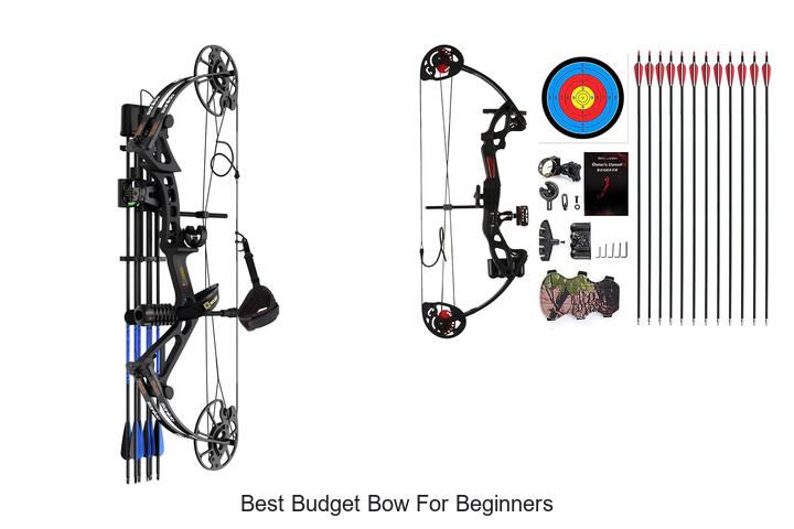 best budget bow for beginners