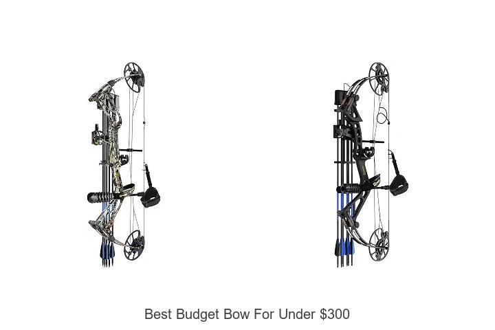 best budget bow for under $300