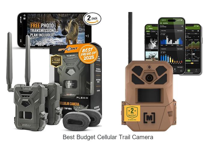best budget cellular trail camera