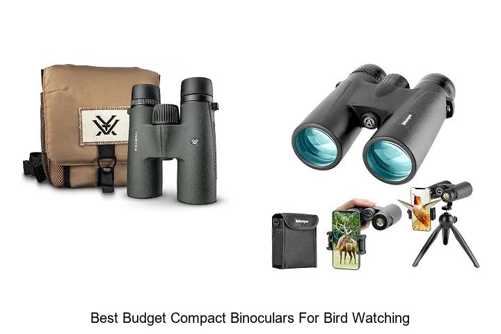 best budget compact binoculars for bird watching