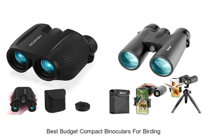 best budget compact binoculars for birding