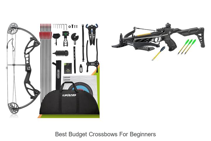 best budget crossbows for beginners