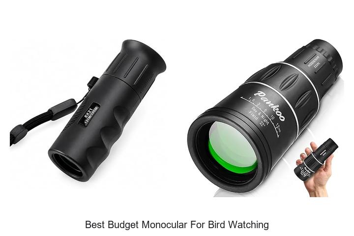 best budget monocular for bird watching