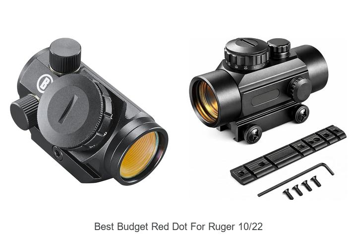 best budget red dot for ruger 10 22