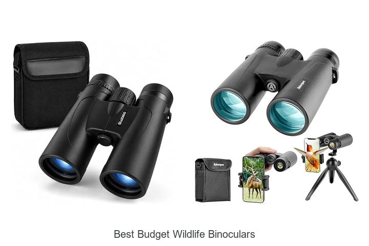 best budget wildlife binoculars