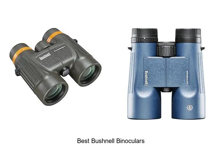 best bushnell binoculars