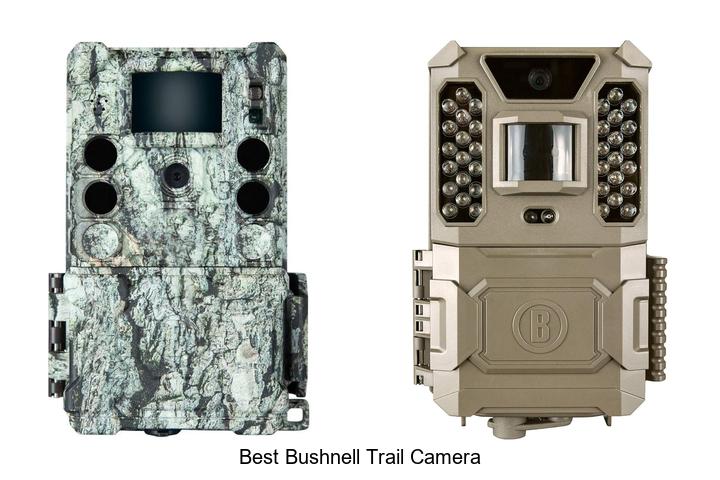 best bushnell trail camera