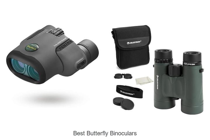best butterfly binoculars