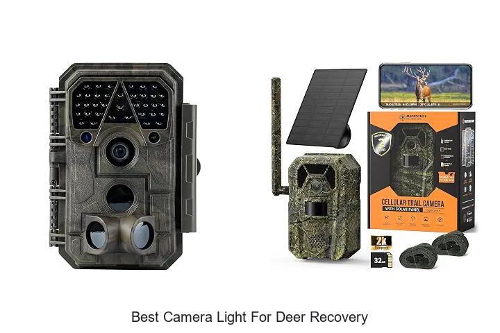 best camera light for deer recovery