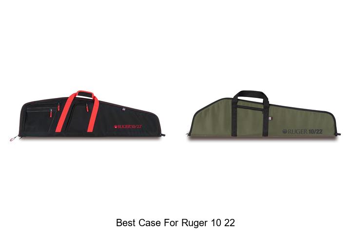 best case for ruger 10 22