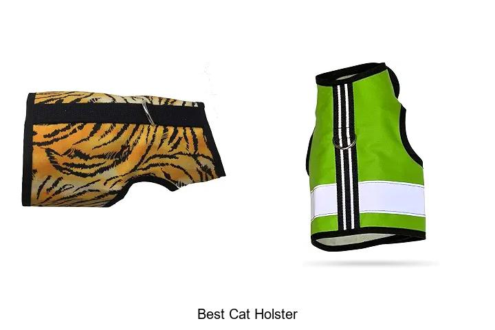 best cat holster