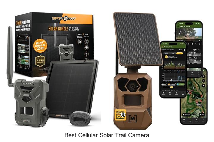 best cellular solar trail camera