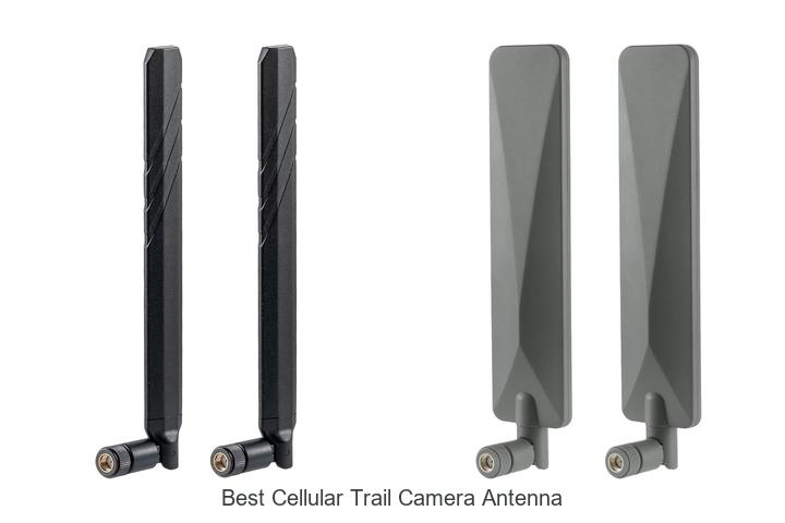 best cellular trail camera antenna