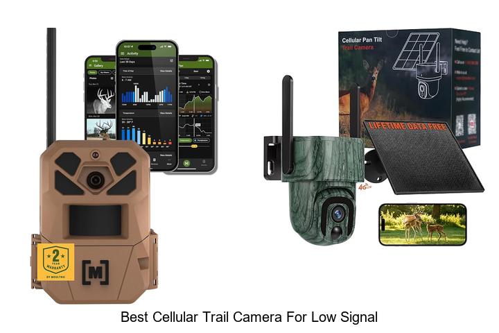 best cellular trail camera for low signal