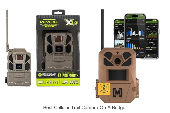 best cellular trail camera on a budget