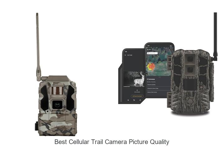 best cellular trail camera picture quality