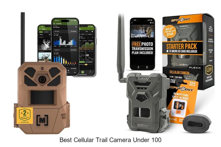 best cellular trail camera under 100