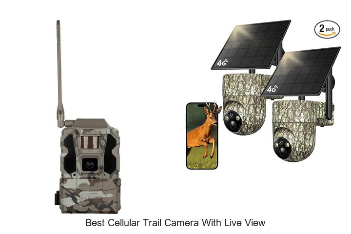 best cellular trail camera with live view