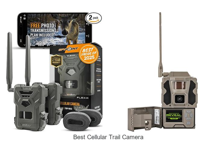 best cellular trail camera