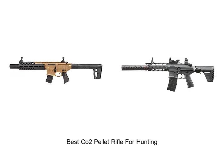 best co2 pellet rifle for hunting