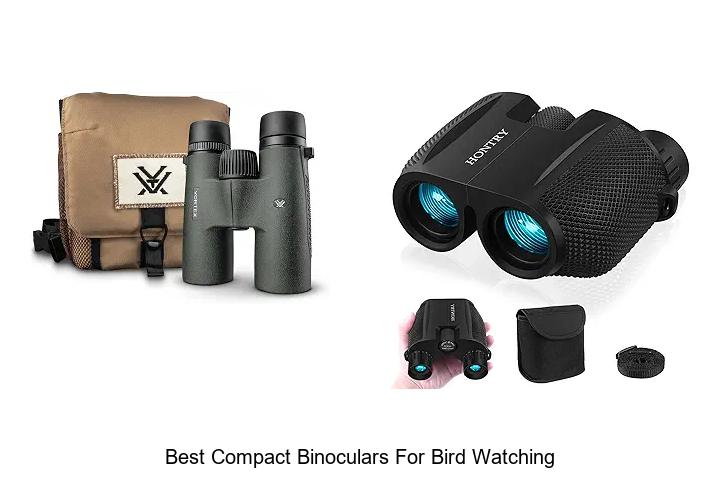 best compact binoculars for bird watching
