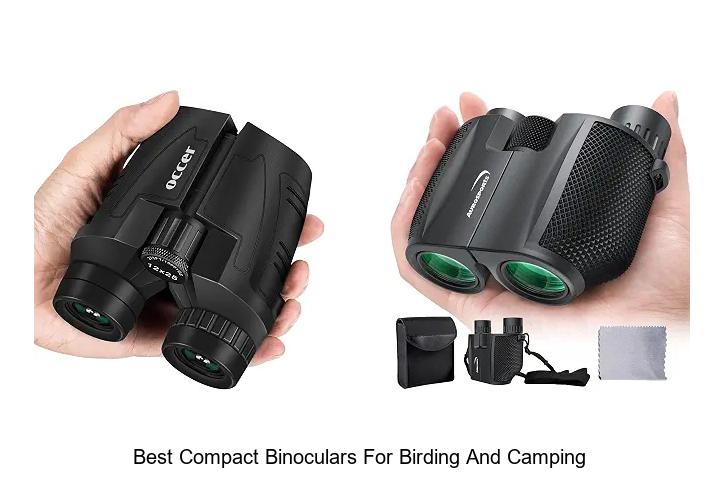 best compact binoculars for birding and camping