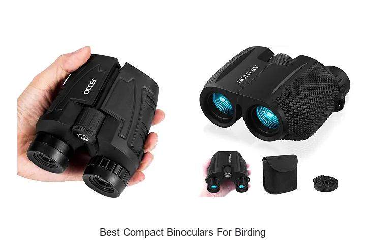 best compact binoculars for birding
