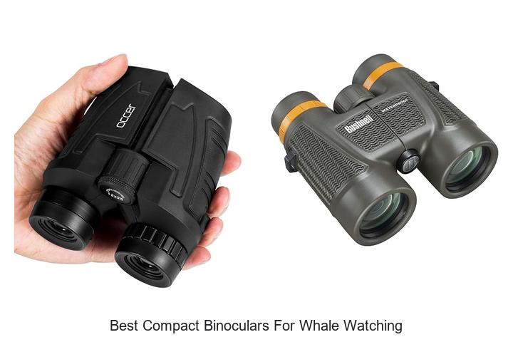 best compact binoculars for whale watching