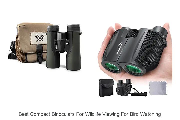best compact binoculars for wildlife viewing for bird watching