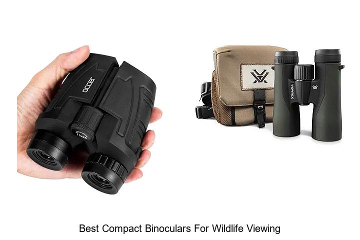 best compact binoculars for wildlife viewing