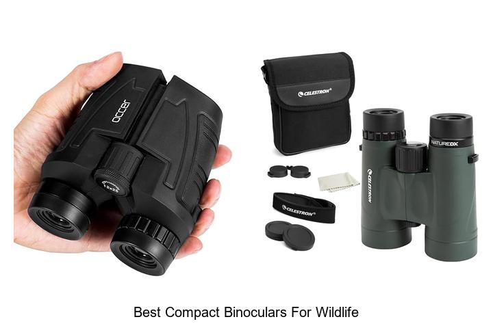 best compact binoculars for wildlife