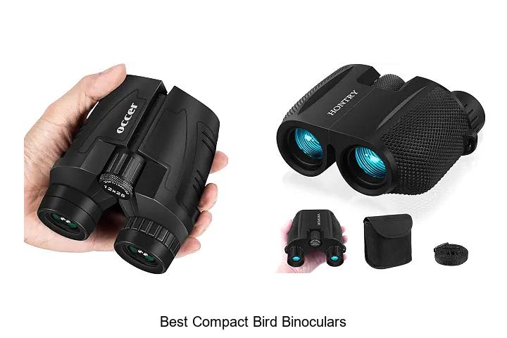best compact bird binoculars
