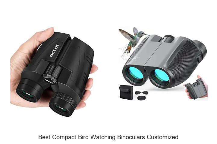 best compact bird watching binoculars customized
