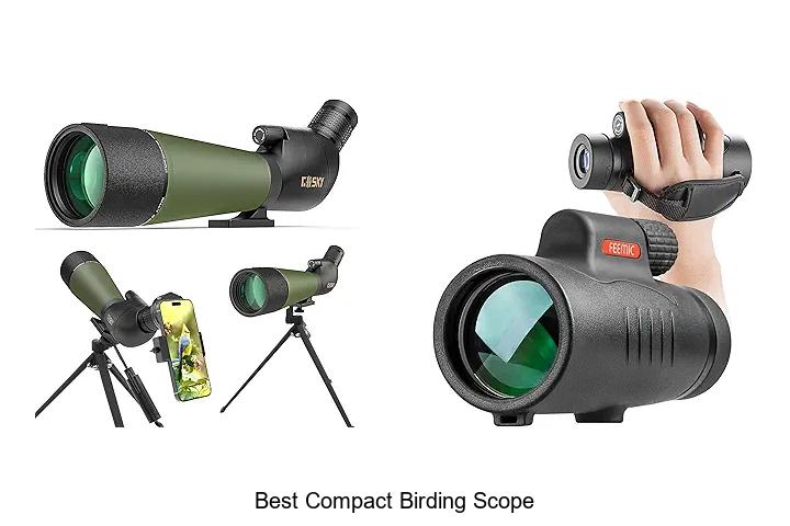best compact birding scope