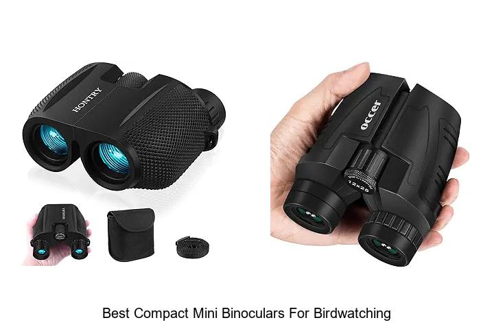 best compact mini binoculars for birdwatching
