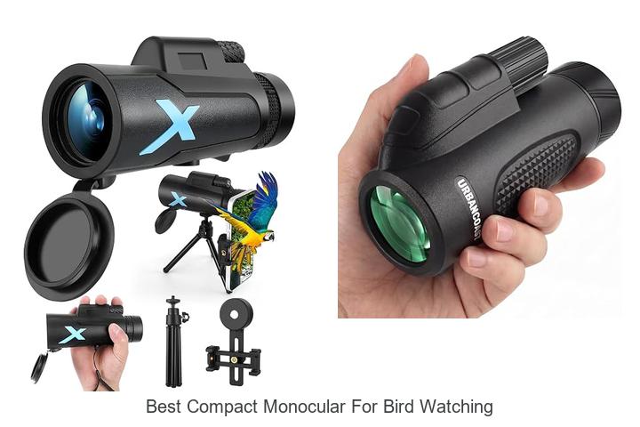 best compact monocular for bird watching