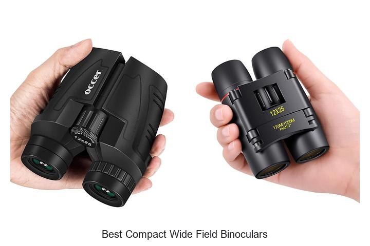 best compact wide field binoculars